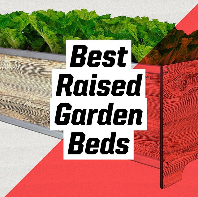 best raised garden beds