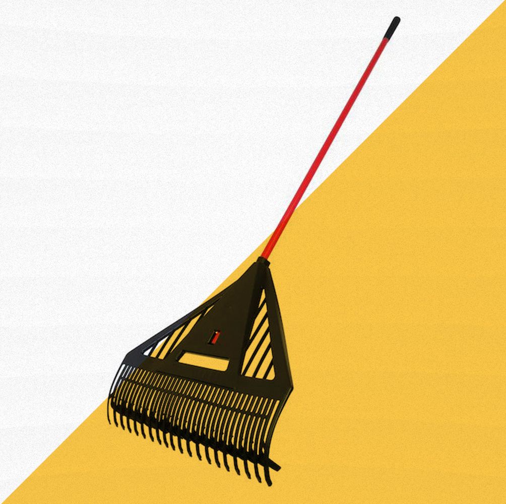The 10 Best Leaf Rakes to Clean Up Your Lawn This Fall