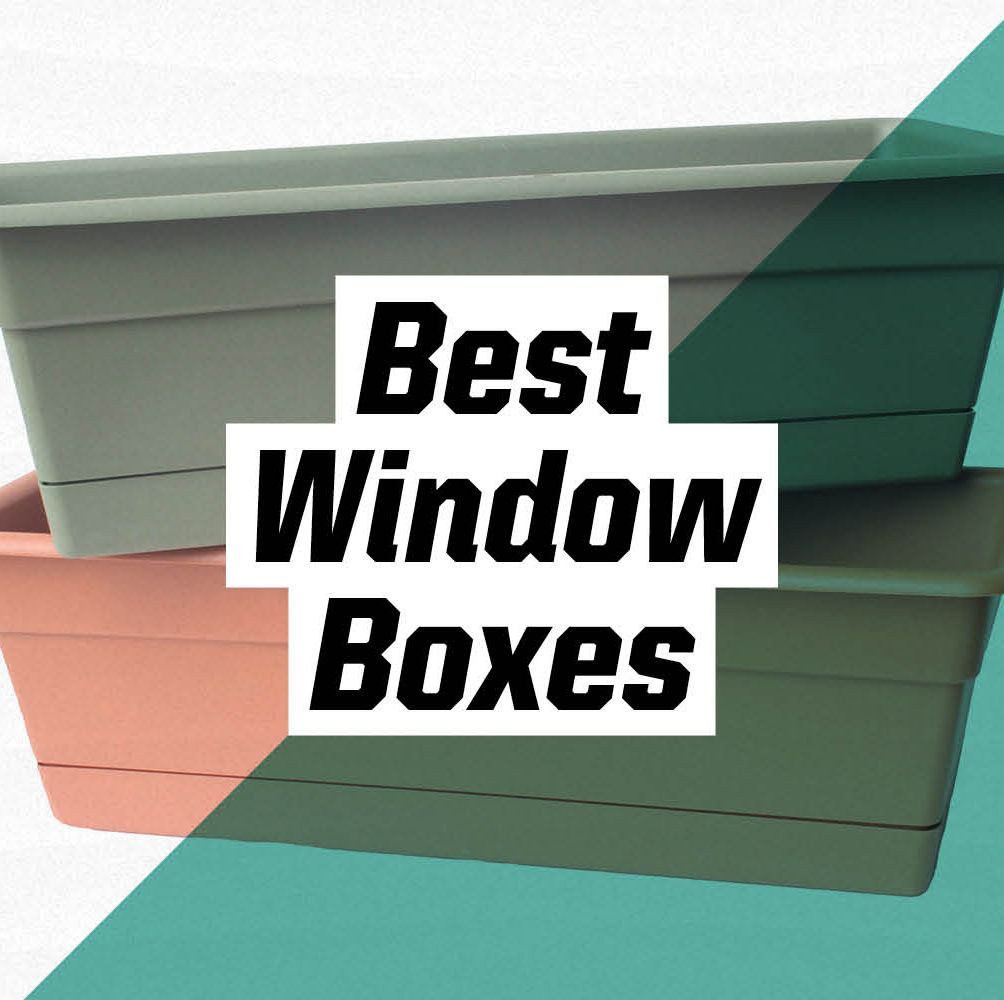 Grow Your Fave Summer Blooms in These Top-Rated Window Boxes
