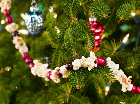 popcorn cranberry garland