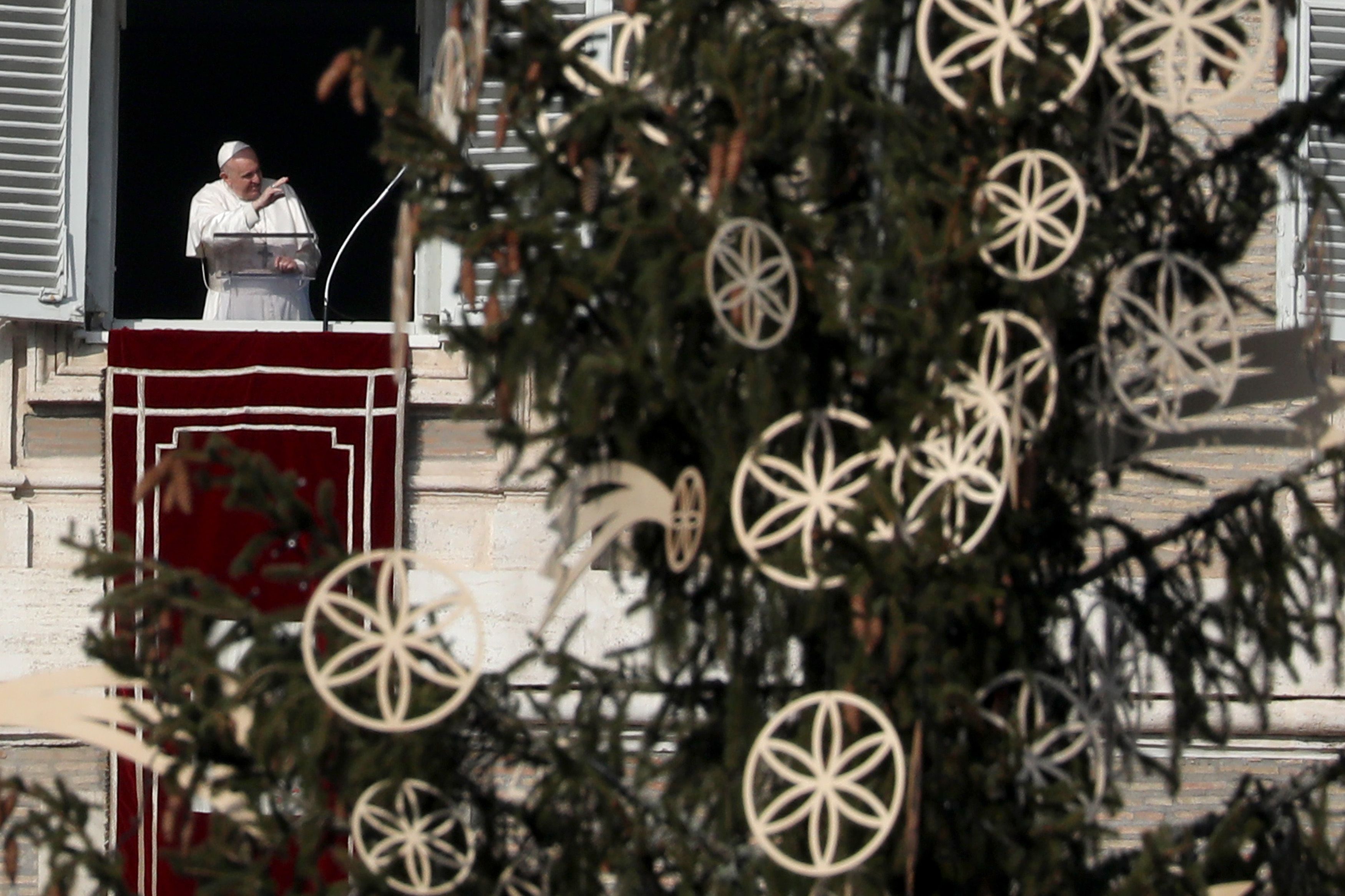 Tutti I Motivi Della Polemica Sull'albero Di Natale Del Vaticano