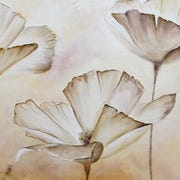 poppies