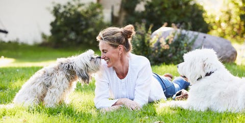 犬を飼うことで健康になるって本当 犬を飼うことで健康になるって本当