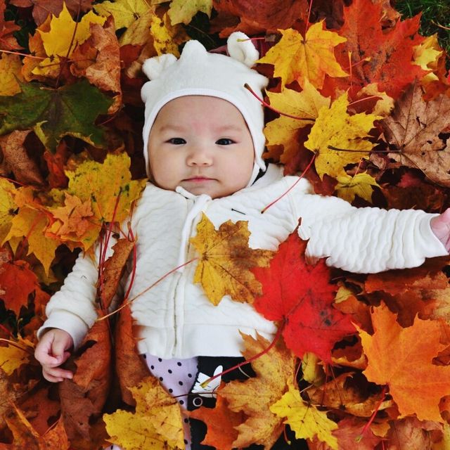 portrait of baby girl lying on autumn leaves