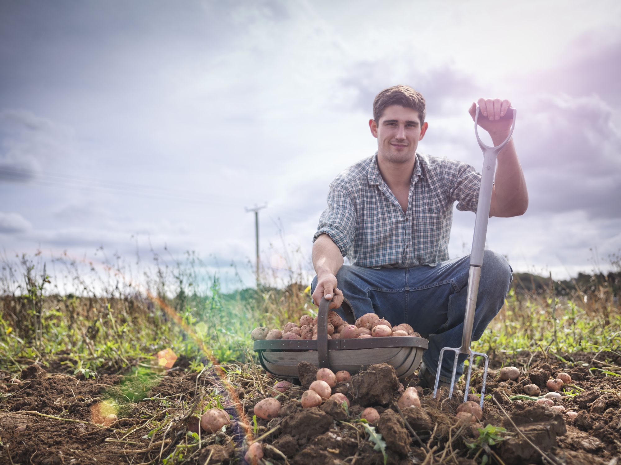 Waarom je aardappelen moet eten voor spierballen afbeelding