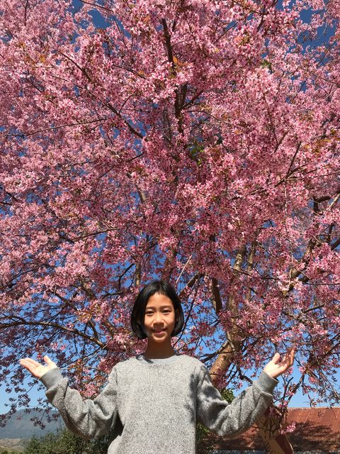 portrait of girl standing against flowering tree