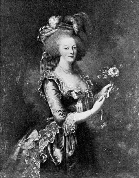 portrait of marie antoinette by louise elisabeth vigée le brun 18th century