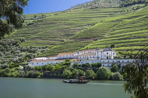 Wine tours around the world: Douro Valley