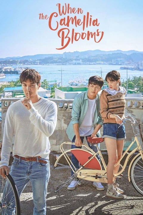 when the camellia blooms promotional poster