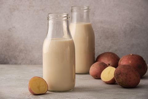 potato milk alternative non dairy drink in glass bottles on gray background healthy vegetarian and vegan drink concept with copy space