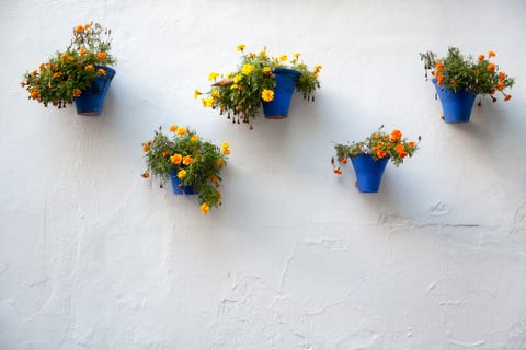 20 Brilliant Vertical Garden Ideas Interesting Planters - Wall Trough Planting Ideas 20 Brilliant Vertical Garden Ideas Interesting Planters - Wall Trough Planting Ideas