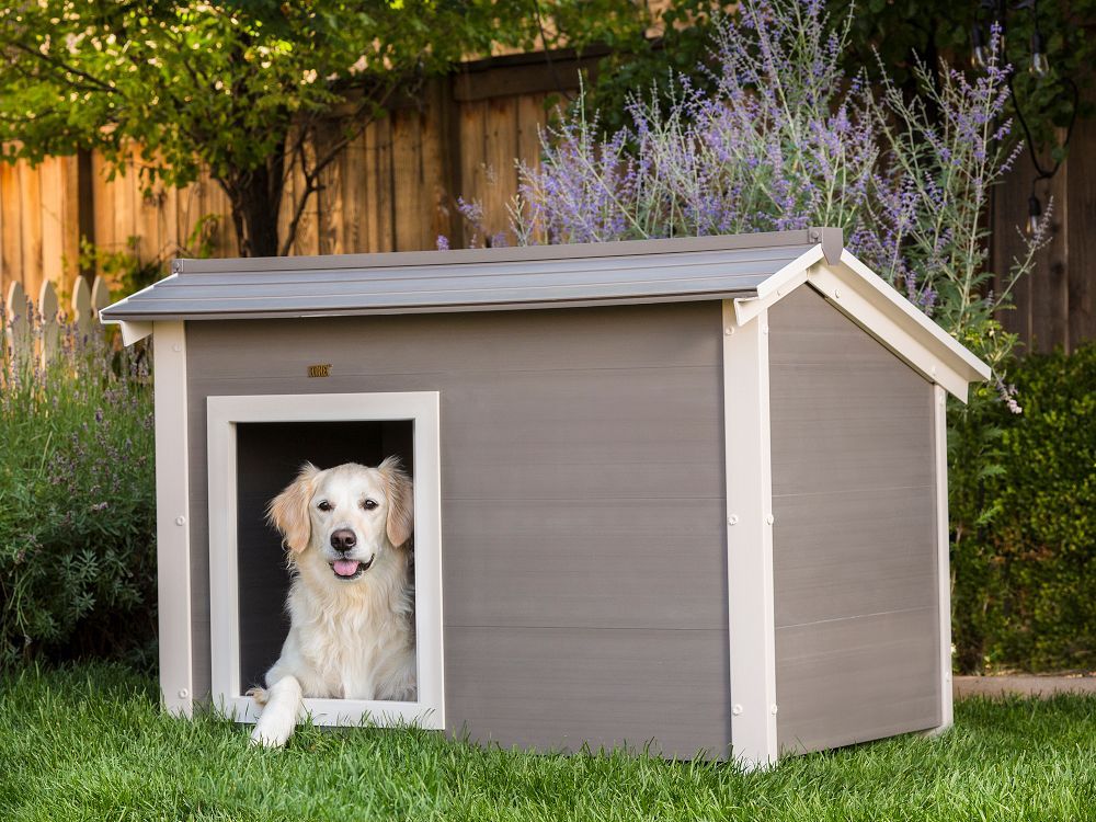 should a dog house have a door