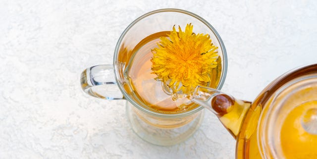 ダイエットにも効果的 タンポポ茶が健康にもたらすメリット ダイエットにも効果的 タンポポ茶が健康にもたらすメリット
