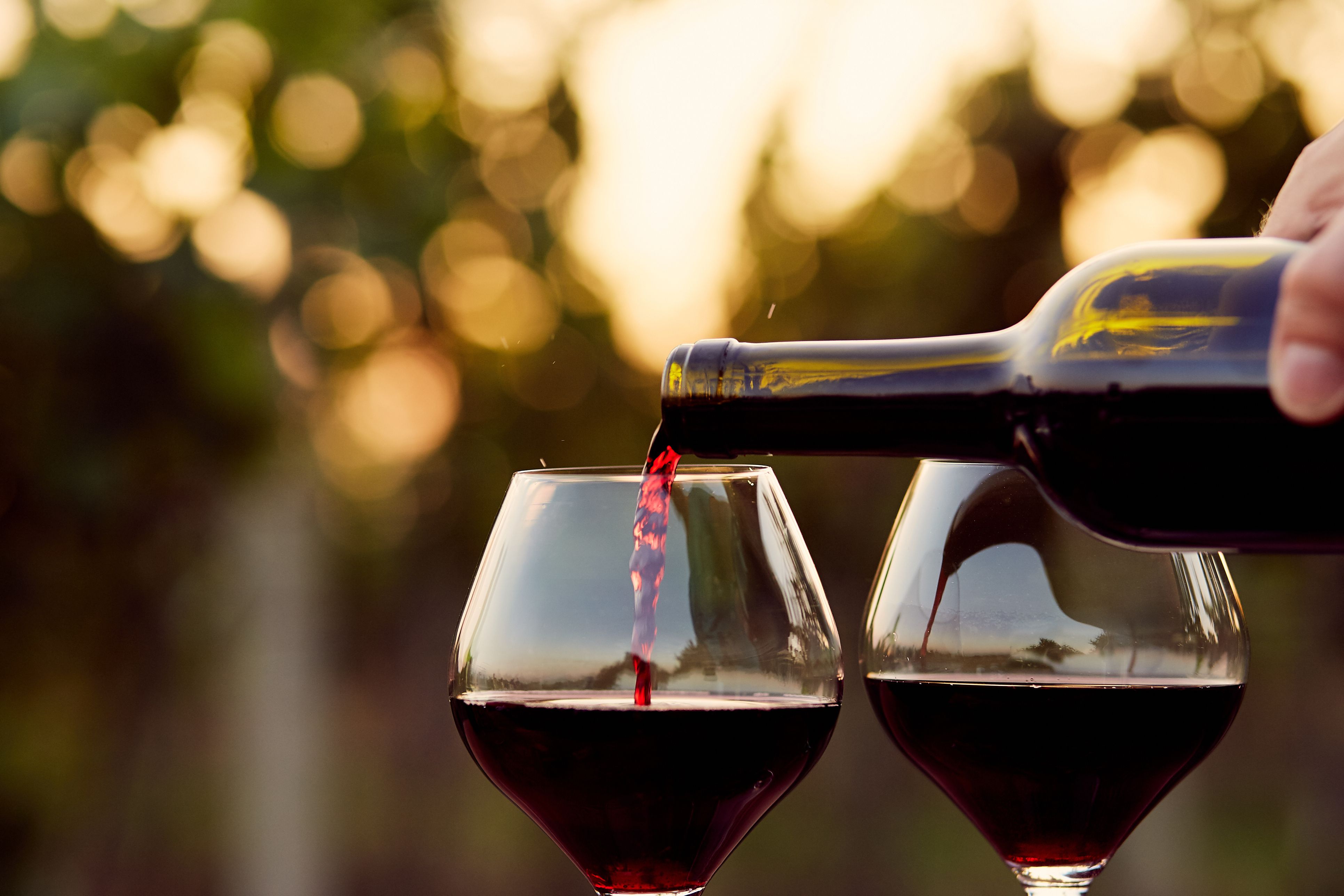 The Best Supermarket Red Wine To Buy This Week