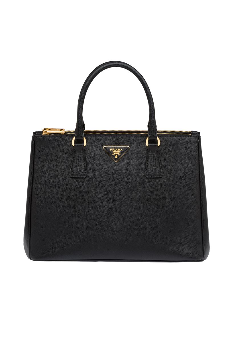 dina winged tote