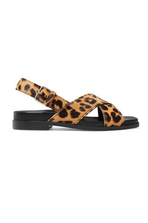 Leopard Print Pieces We're Wild About