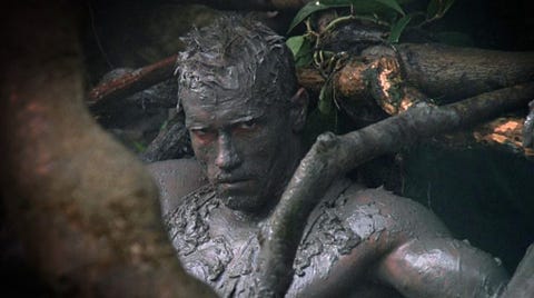 mud predator