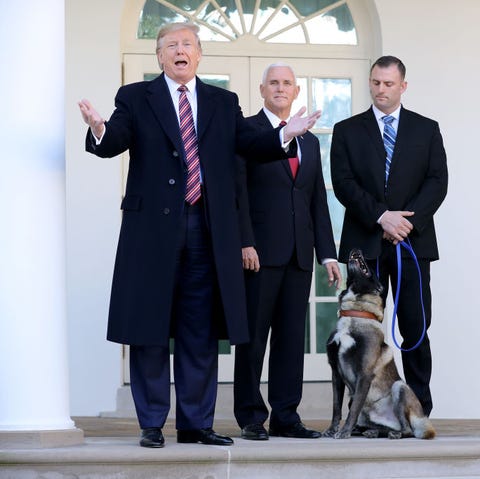 Hero Military Dog From Al-Baghdadi Raid Honored At The White House