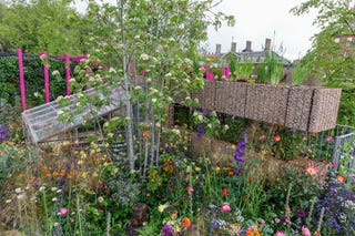 Chelsea Flower Show 2019 - spațiu pentru creșterea grădinii