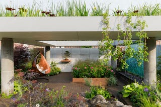 Chelsea Flower Show 2019 - space to grow Garden