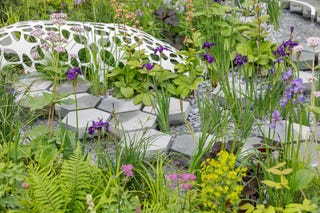 Chelsea Flower Show 2019 - space to grow Garden