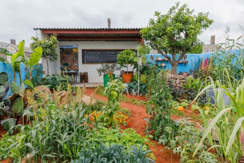 Chelsea Flower Show 2019 - Space to Grow Garden