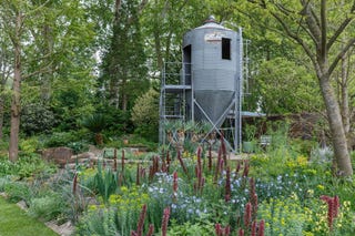 Chelsea Flower Show 2019 - Visa trädgårdar