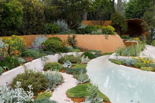 Chelsea Flower Show 2019 - Vis Gardens