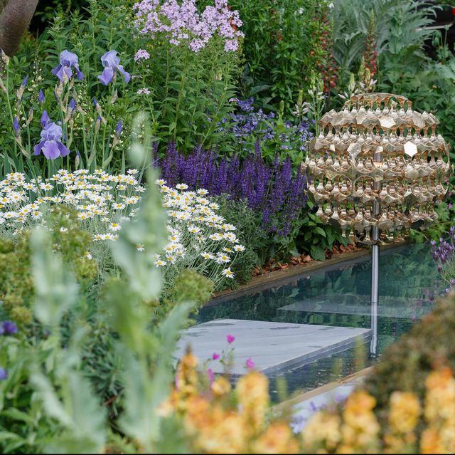 Winning Chelsea Flower Show 2019 Gardens All 28 Gardens In Photos