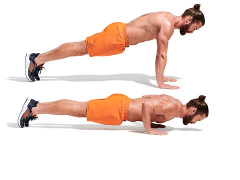 press up, arm, abdomen, joint, physical fitness, chest, muscle, trunk, shoulder, human body,