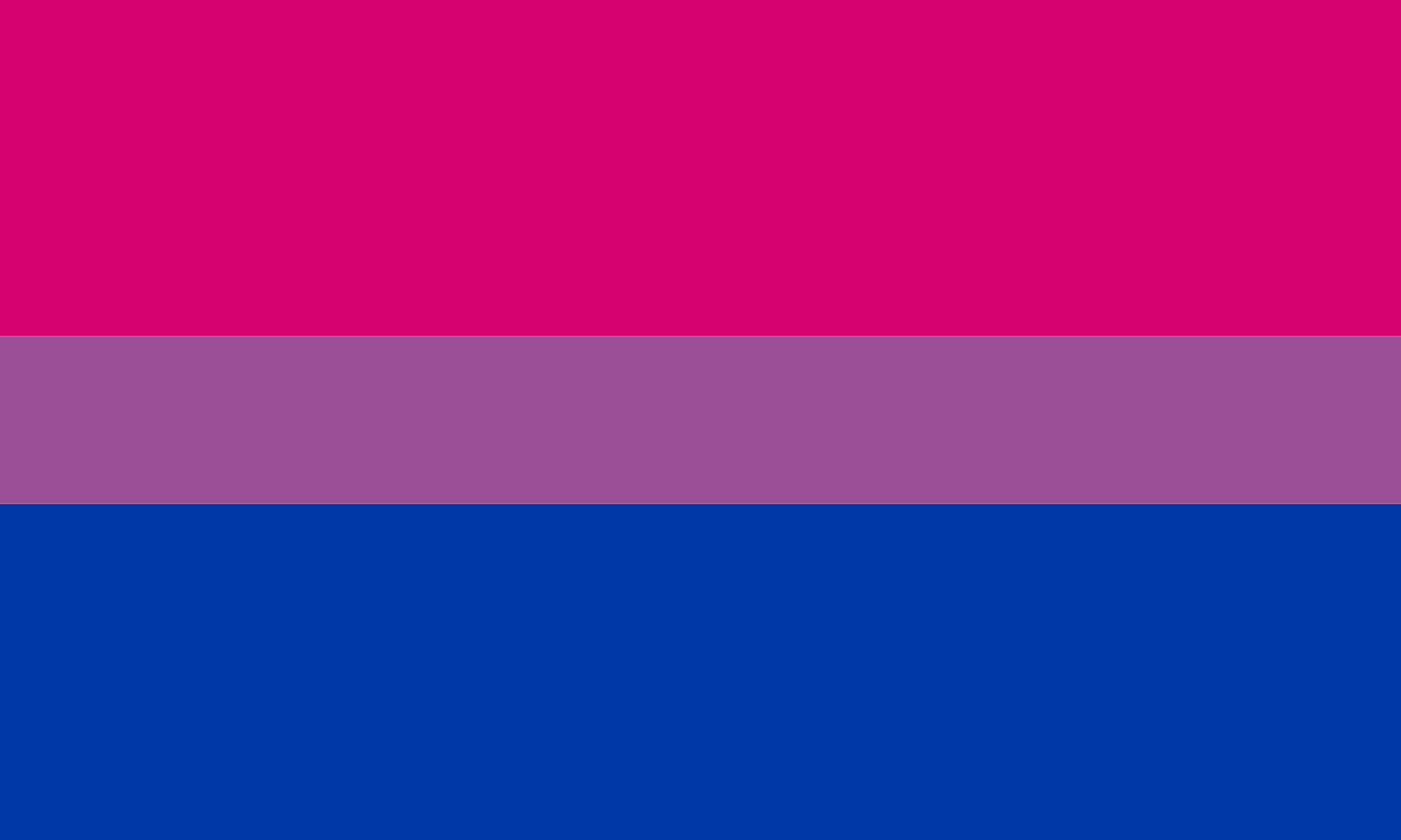 the gay flag color