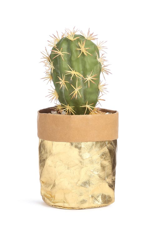 Primark, homeware, pieces, home, interiors, Primark summer homeware, home ware, shopping, online, s/s, spring, summer
