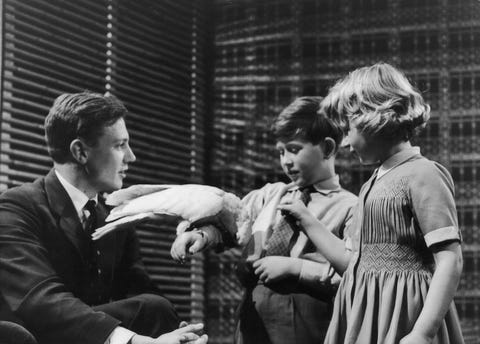 50 Photos Of Prince Charles Princess Anne S Brother Sister Relationship