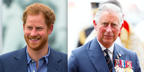 Image result for prince charles and prince harry
