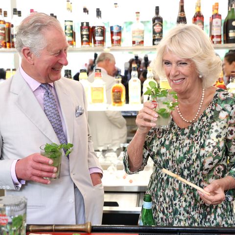 prince-charles-prince-of-wales-and-camilla-duchess-of-news-photo-1572189344.jpg?crop=0.667xw:1.00xh;0.165xw,0&resize=480:*
