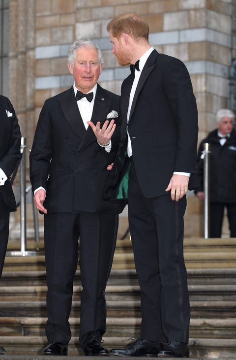 Prince Charles Iced Out Prince Harry Over His Memoir