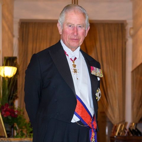 Prince Charles Wants to Cut Down Royal Family When He's King