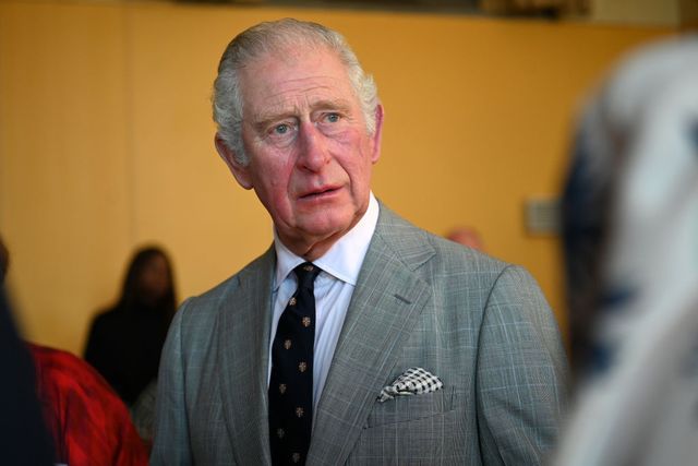 the prince of wales visits cambridge