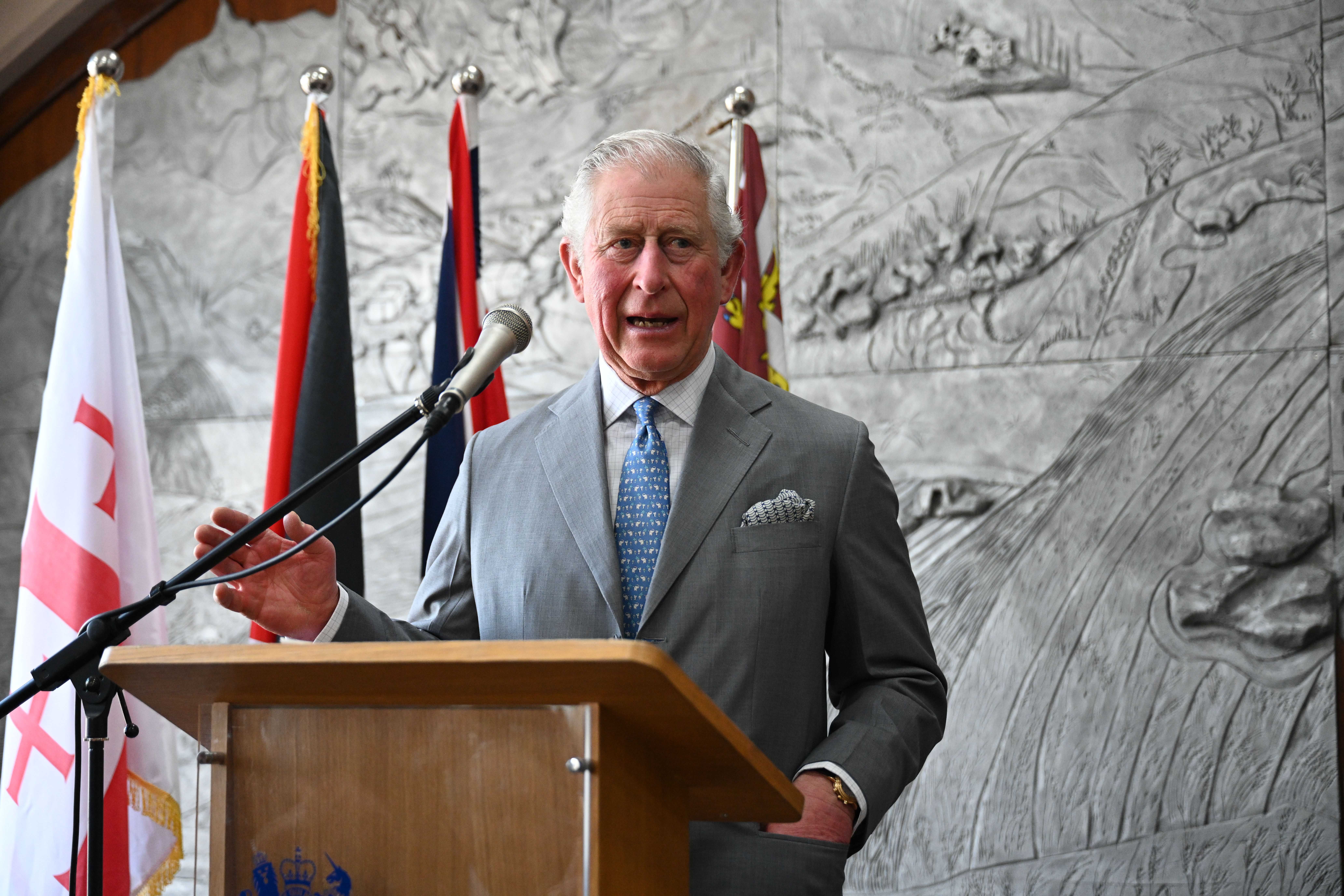 charles prince of wales speech