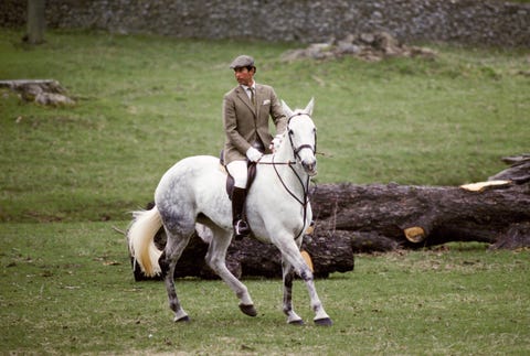 The Prince's Countryside Fund is offering £300,000 to help rural ...