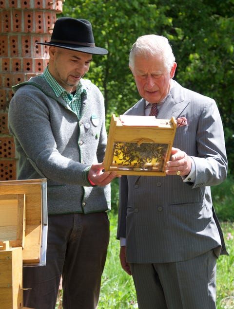 the prince of wales and duchess of cornwall visit germany day 3 munich