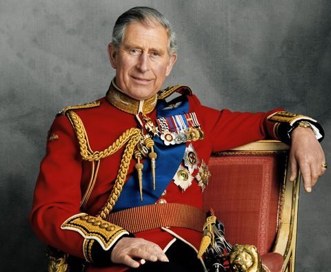 prince charles prince of wales 60th birthday portrait