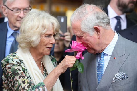 prince of wales and duchess of cornwall visit france