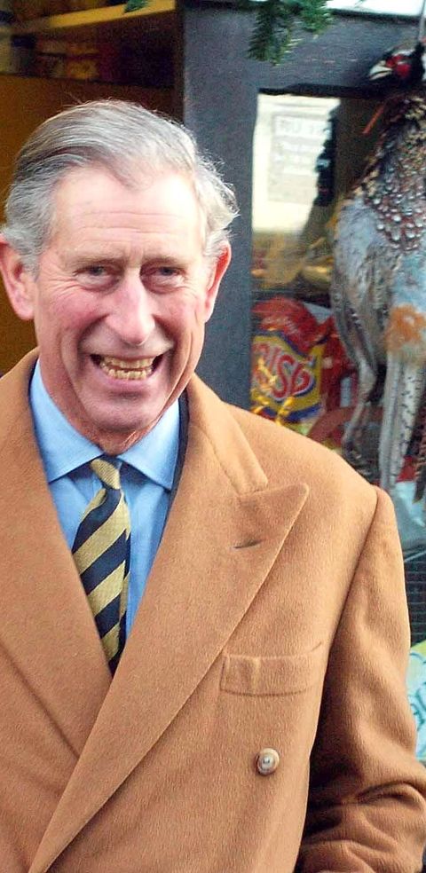 prince-charles-prince-of-wales-smiles-as-he-visits-a-news-photo-1581455917.jpg