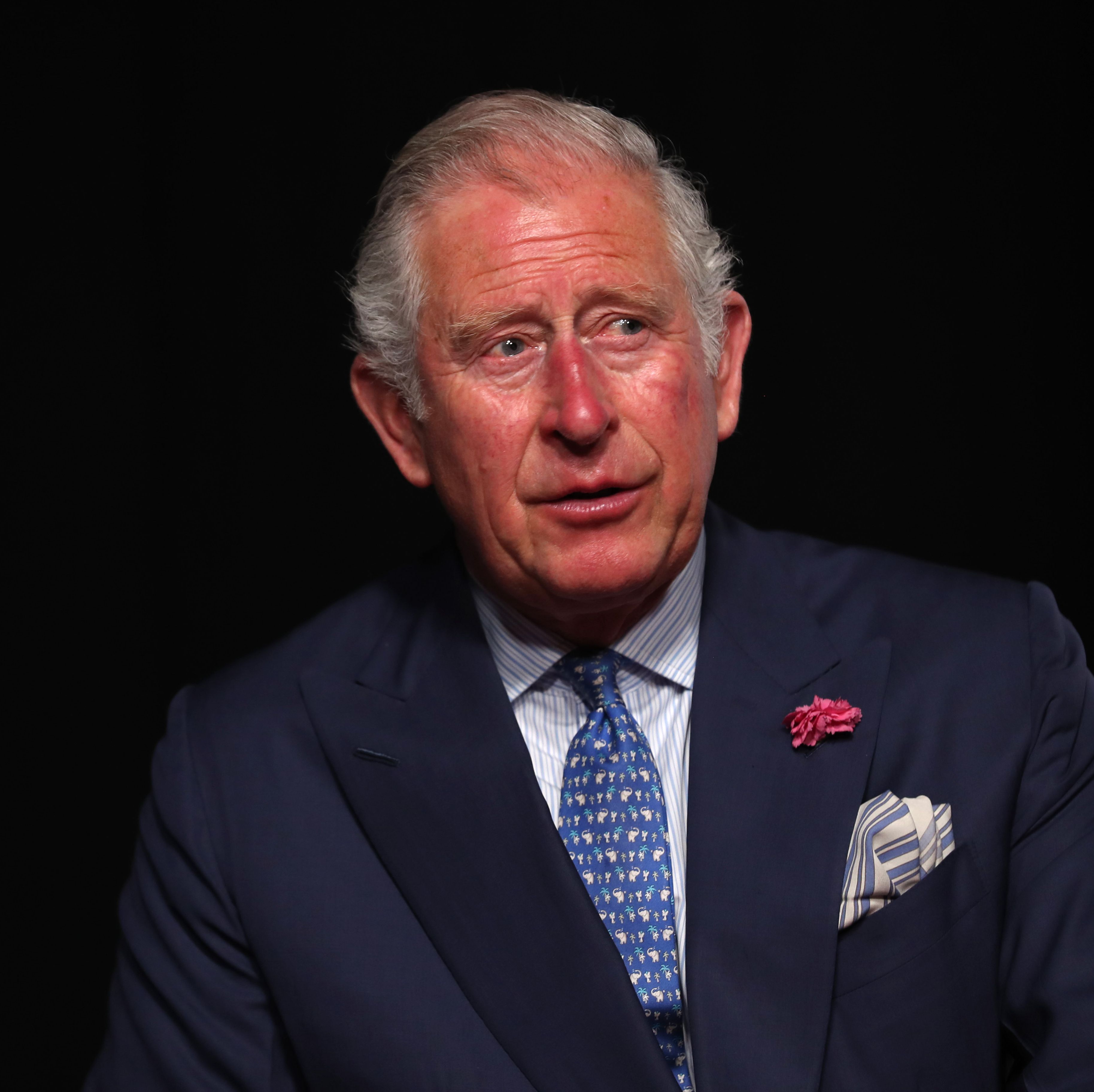 Prince Charles Launches Climate TV Channel