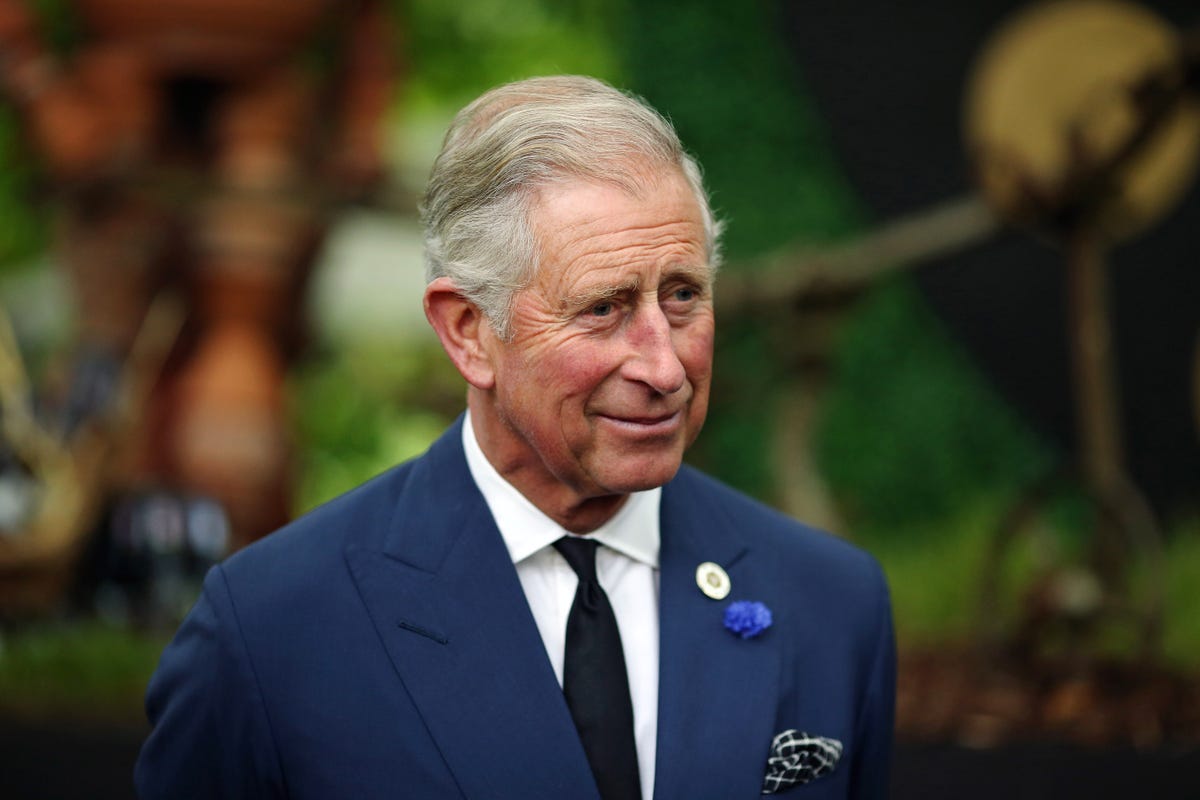 Prince Charles Speaks out About the "Horrors" of Climate Change in New Documentary - TownandCountrymag.com