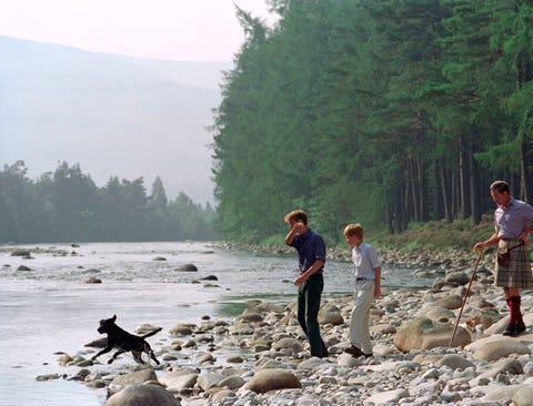 Charles, William, Harry And Dog charles, william, harry and dog