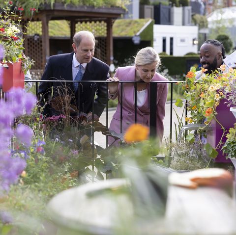 chelsea flower show 2022 prince edward, earl of wessex and sophie, countess of wessex are given a tour of the cirrus garden, designed by jason williams