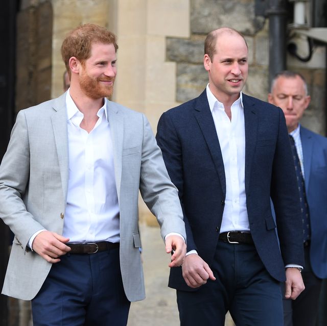 Prince Harry and Prince William to Split Princess Diana Fund