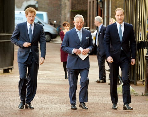 the prince of wales  duke of cambridge attend the illegal wildlife trade conference